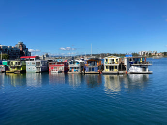 Vancouver to Victoria Day Trip: The Complete Group Travel Guide