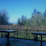 Langley Winery